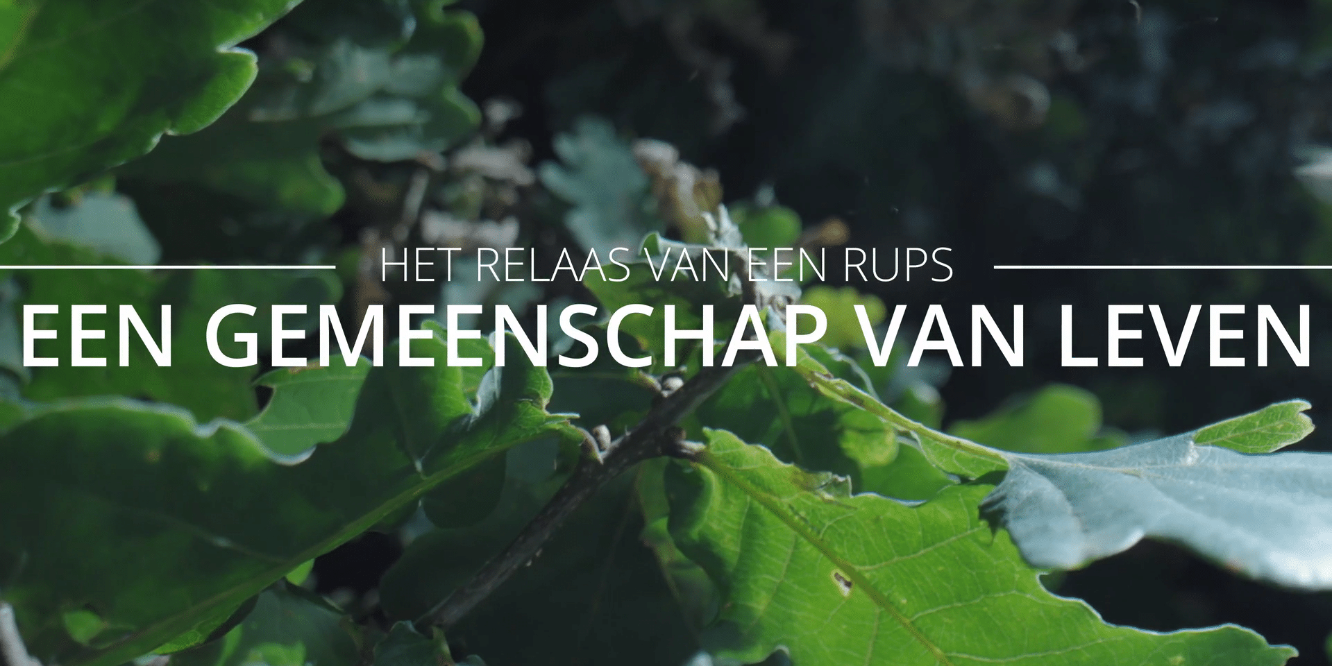 Een-gemeenschap-van-leven-titelpagina