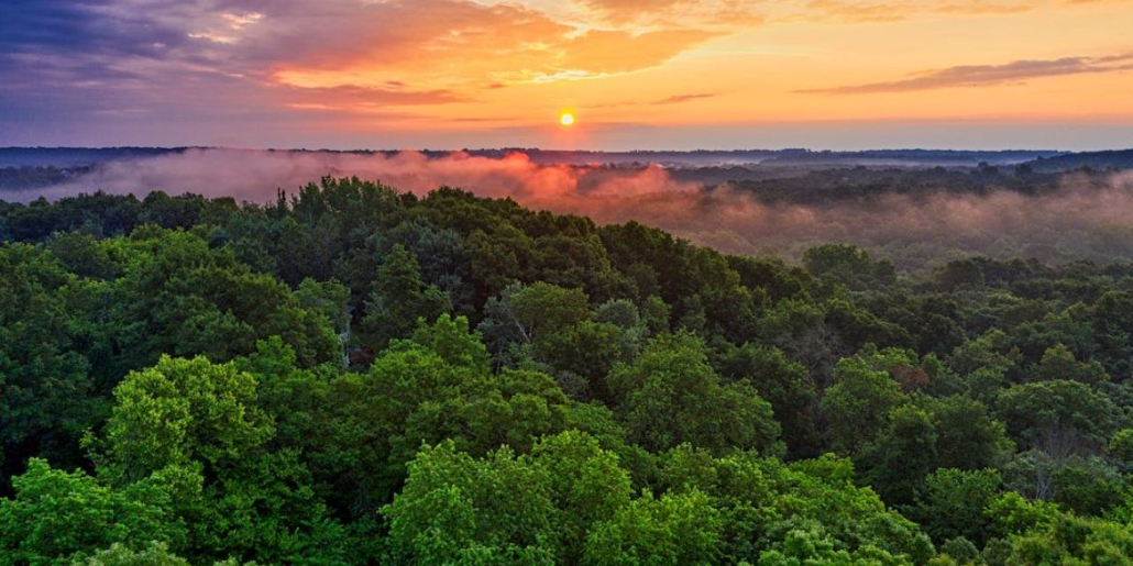 pexels-tomfisk-2739666-1170x680